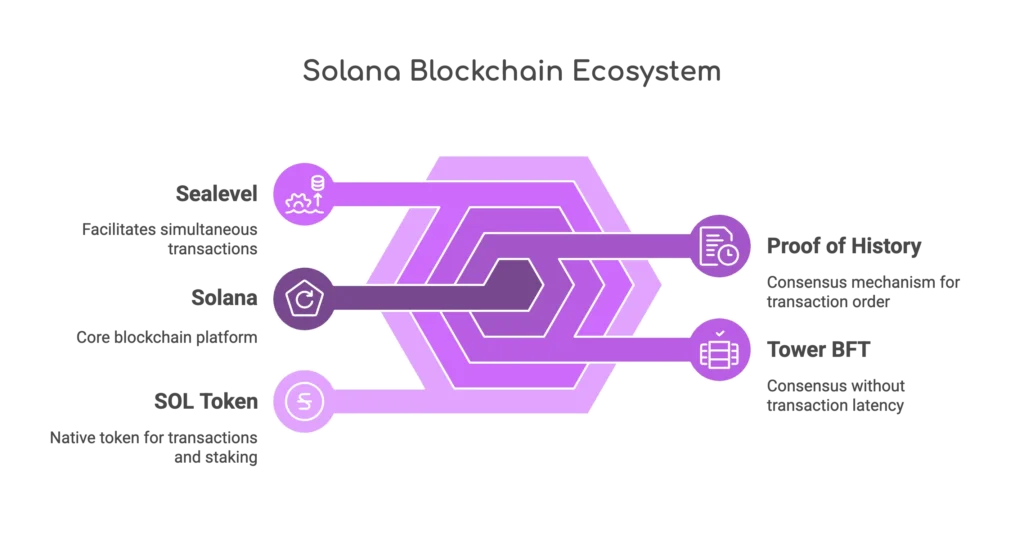 Solana Blockchain Ecosystem