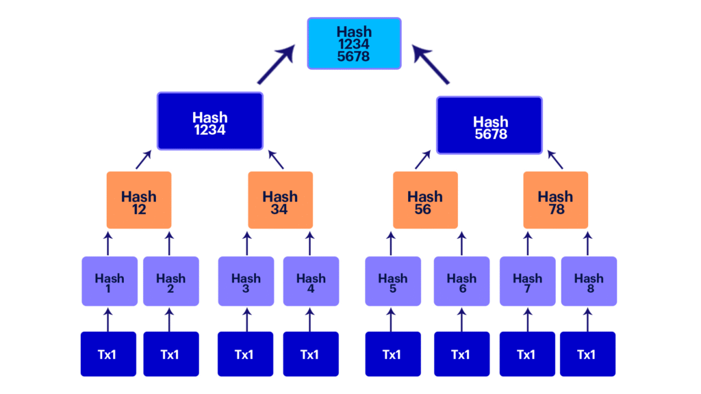 Merkle tree Inforgraphic