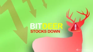 Bitdeer Stock Drops After Earnings Miss