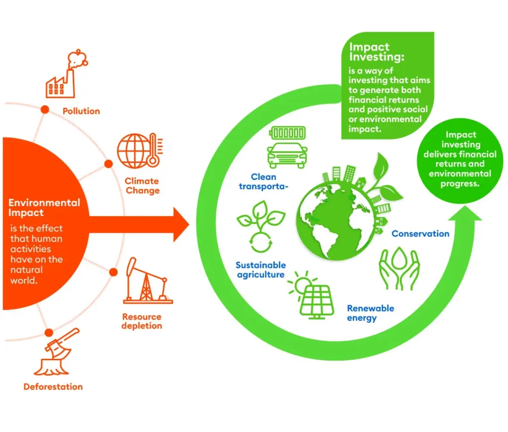 environmental impact