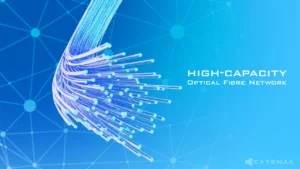 Omantel, Ciena Roll Out New Terabit Network