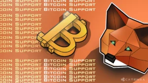 MetaMask Adds Bitcoin Multi-Chain Push