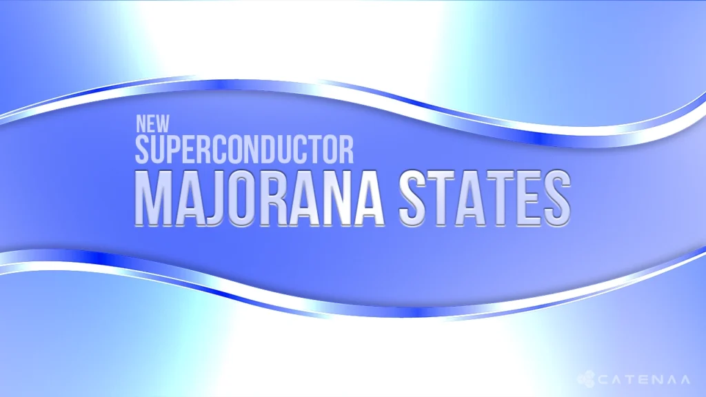 PtBi₂ superconductor hosts Majoranas
