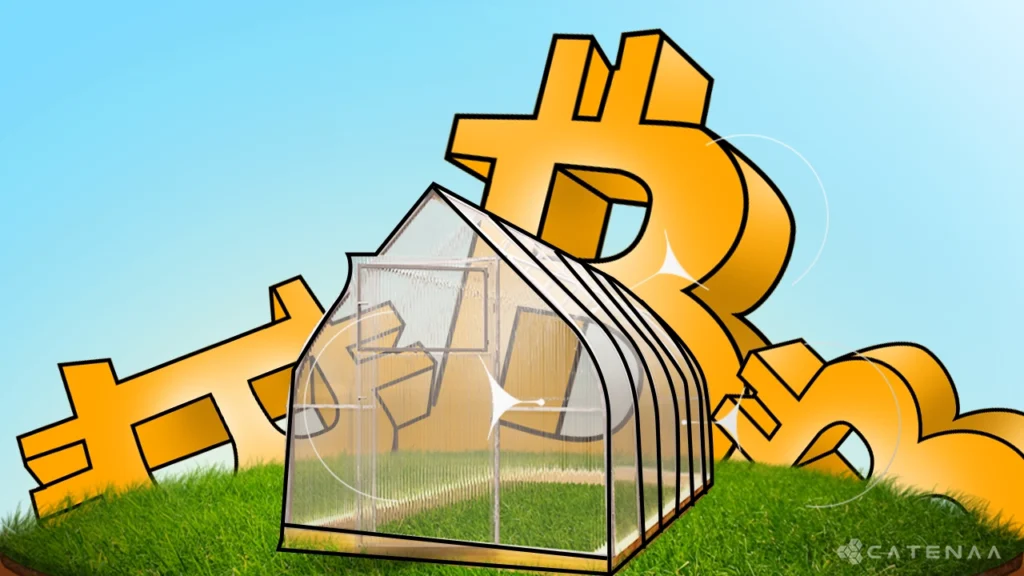 Canaan Uses Bitcoin Mining Heat for Greenhouse