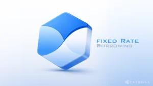 TermMax Enables Tokenized Stock Collateral